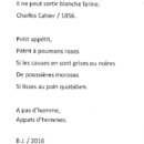 Texte de Bernard Josse pour Encore un mensonge [Exposition]. Château Gilson (La Louvière), du 21 avril au 10 juin 2017.